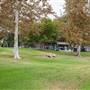 Jesse Brewer Jr. Park at Exposition Park