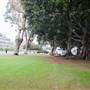 Expo Lawn East and West at Exposition Park