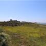 Bolsa Chica Ecological Reserve - California Department of Fish & Wildlife (CDFW)