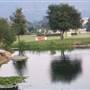 Windy Hill Ranch - El Campeon Farms