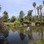 Los Angeles County Arboretum