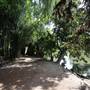 Los Angeles County Arboretum
