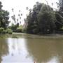 Los Angeles County Arboretum