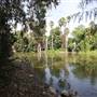 Los Angeles County Arboretum