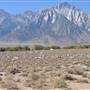 Alabama Hills - Bureau of Land Management / BLM - Bishop Field Office
