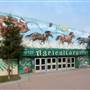 The Big Fresno Fair - 21st DAA