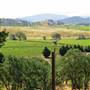 Tuscany Villa
