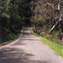 Carmel Valley Road / Monterey County Route G16