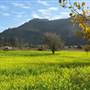 Carmel Valley Road / Monterey County Route G16