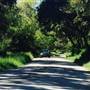 Iris Canyon Road