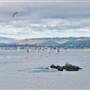 Monterey - Coastal Views
