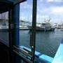 Monterey - Coastal Views