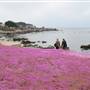 Pacific Grove