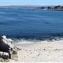 Pacific Grove