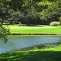 The Quail