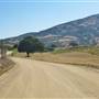 Inn at the Pinnacles / Brosseau Vineyards - next to Pinnacles National Park