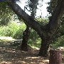 Circle X Ranch - Santa Monica Mountains National Recreation Area - National Park Service (NPS) / Camp Bighorn Boy Scout Camp