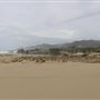 MacKerricher State Park (SP) - Inglenook Ten Mile Preserve - northern stretch - aka Ten Mile Dunes