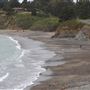 Van Damme State Park (SP) / Beach / Pygmy Forest / Fern Canyon Trail / Spring Ranch Trail