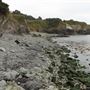 Van Damme State Park (SP) / Beach / Pygmy Forest / Fern Canyon Trail / Spring Ranch Trail