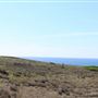 Navarro Point Preserve and Coastal Trail