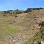 Navarro Point Preserve and Coastal Trail