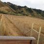 Newport Coastal Trail