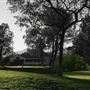 Shasta County Sports Facilities