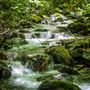 Shasta County Waterfalls