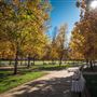 Shasta County Natural Landscapes & Parks