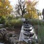 Shasta County Gardens