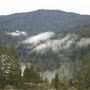 Anderson Valley Region - Mendocino County