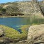 Firestone Pond