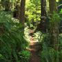 Russian Gulch State Park (SP) / Russian Gulch Bridge - Highway 1