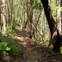 Faulkner County Park