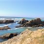 Van Damme State Park (SP) / Beach / Pygmy Forest / Fern Canyon Trail / Spring Ranch Trail