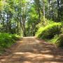 Peachland Road