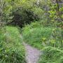 Jug Handle State Natural Reserve (SNR)