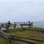 Boardwalk at Laguna Point @ (MacKerricher State Park)