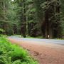 Navarro River Redwoods State Park (SP)