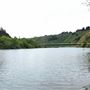 Navarro River - located in Hendy Woods State Park (SP)