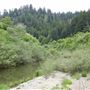 Navarro River - located in Hendy Woods State Park (SP)