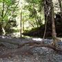 Alliance Redwoods Conference Grounds