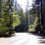 Cazadero Rd