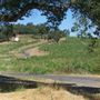 Davis Bynum Winery