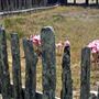Fort Ross State Historic Park (SHP)