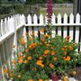 Jack London State Historic Park (SHP)