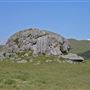 J G Angus Ranch