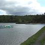 Lake Ralphine
