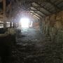 Maffia Dairy Ranch